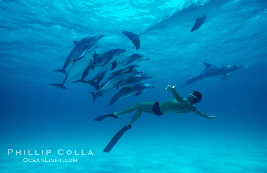 Matt Biondi swimming among a pod of dolphins.